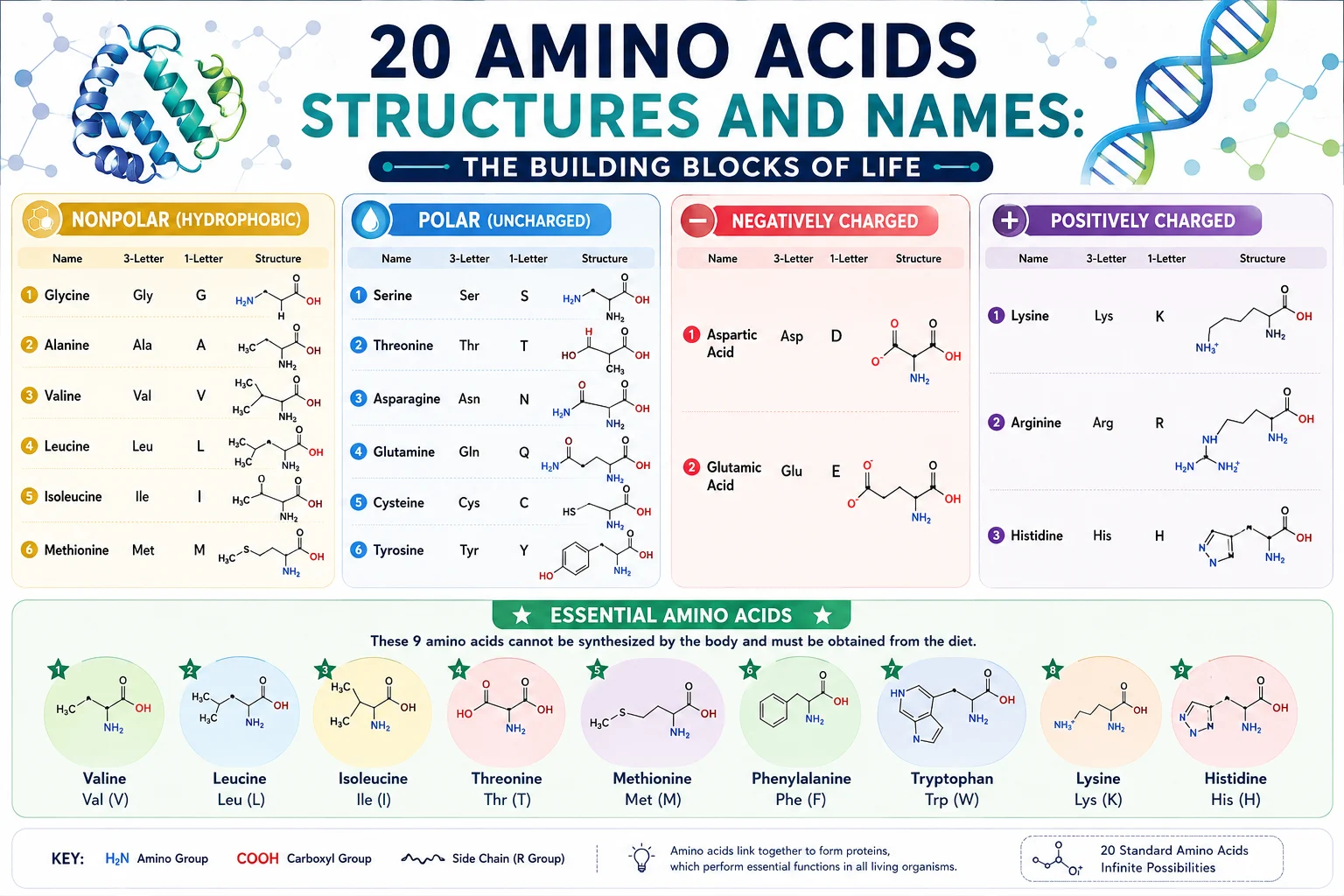 20 amino acids structures and names