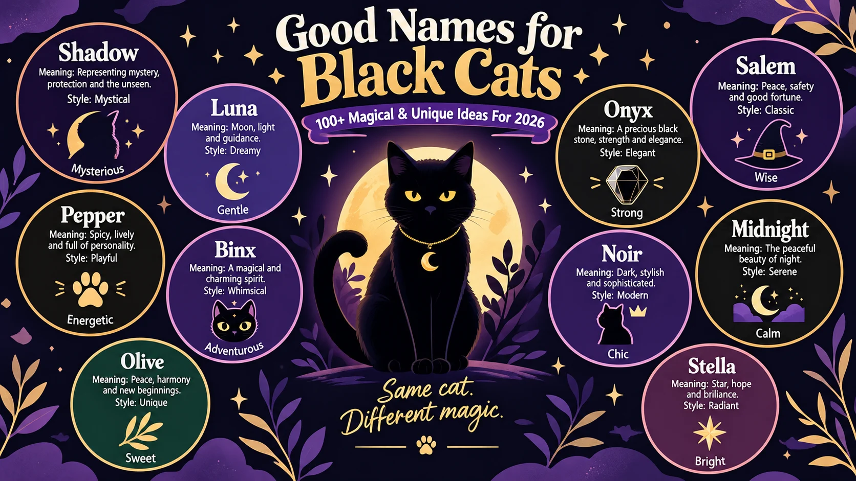 good names for black cats