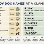 boy dog names
